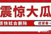 娱乐圈吃瓜合集文案,揭秘明星幕后故事与八卦传闻