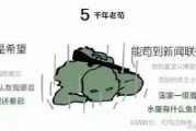 瓜哥娱乐吃鸡视频,瓜哥娱乐带你领略绝地求生吃鸡技巧与欢乐瞬间